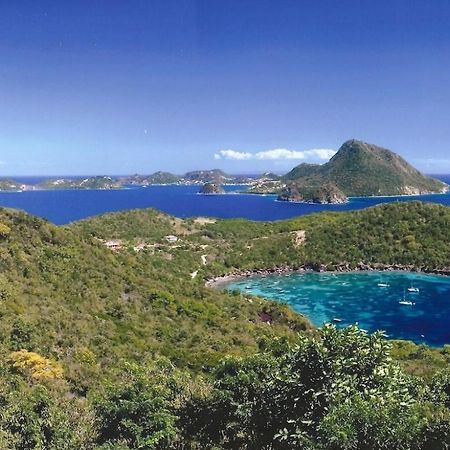 Appartamento Coco D'Iles Terre-de-Bas Esterno foto