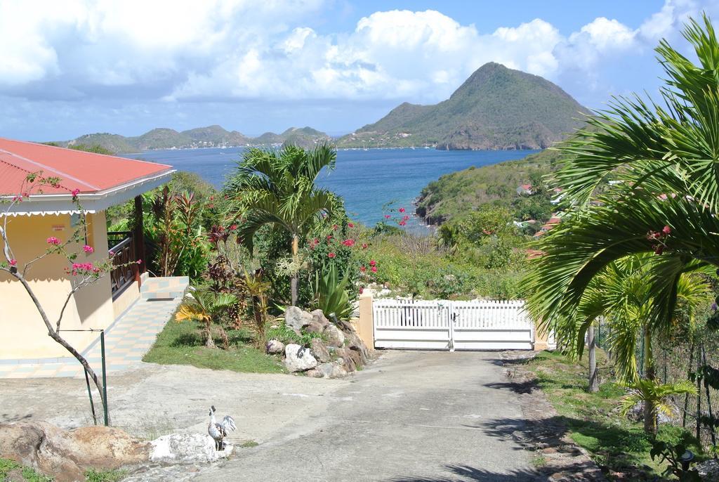 Appartamento Coco D'Iles Terre-de-Bas Esterno foto