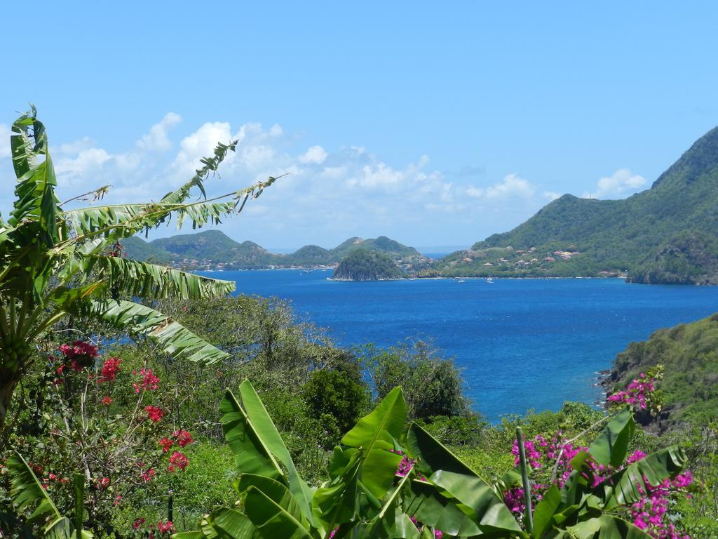 Appartamento Coco D'Iles Terre-de-Bas Esterno foto