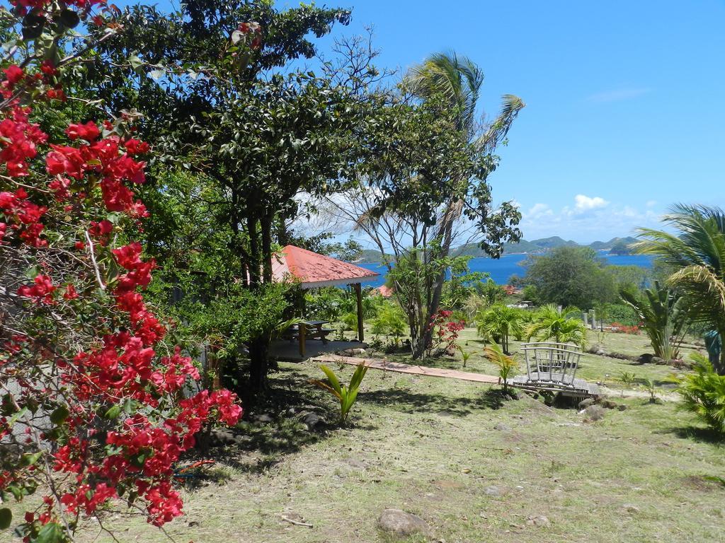 Appartamento Coco D'Iles Terre-de-Bas Esterno foto