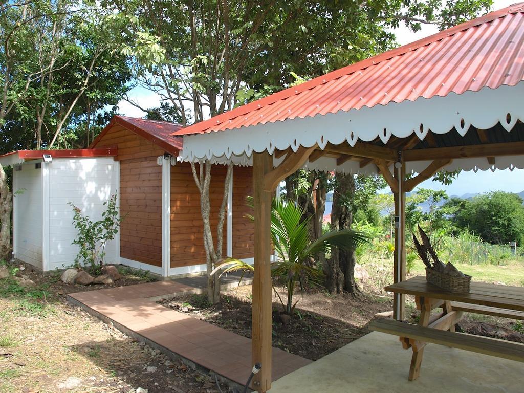 Appartamento Coco D'Iles Terre-de-Bas Esterno foto