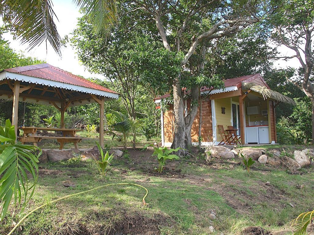 Appartamento Coco D'Iles Terre-de-Bas Esterno foto