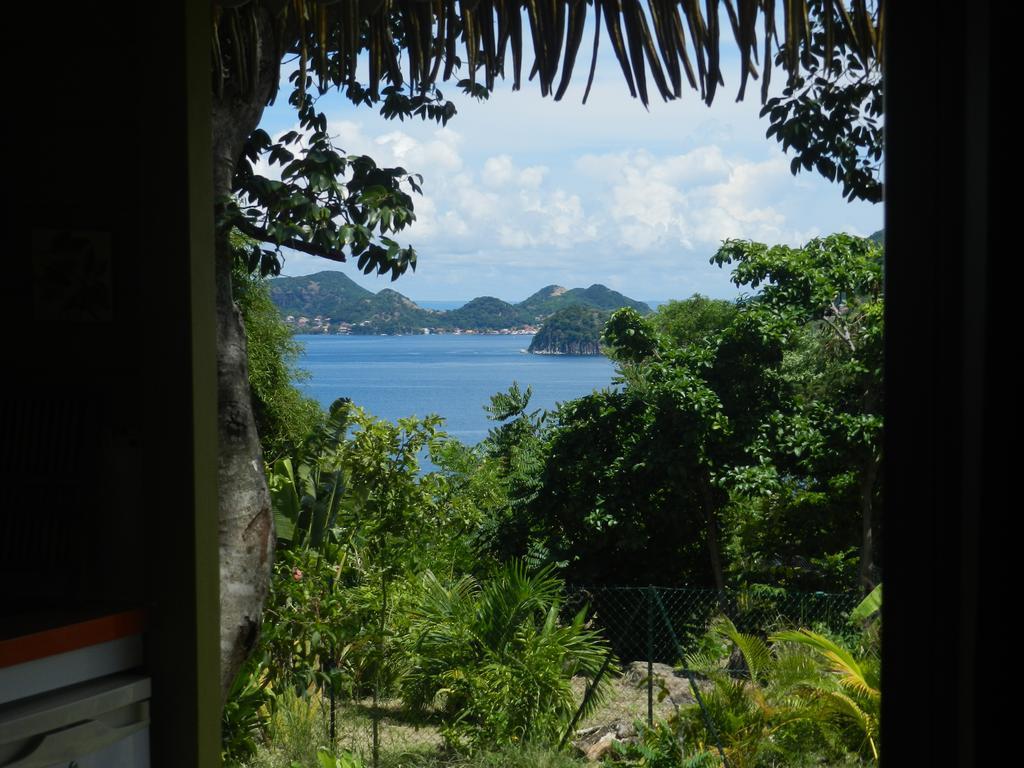 Appartamento Coco D'Iles Terre-de-Bas Esterno foto